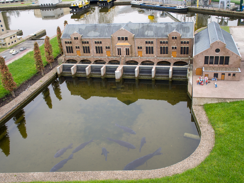 Woudagemaal, Lemmer (vissen niet op schaal 1:25)
